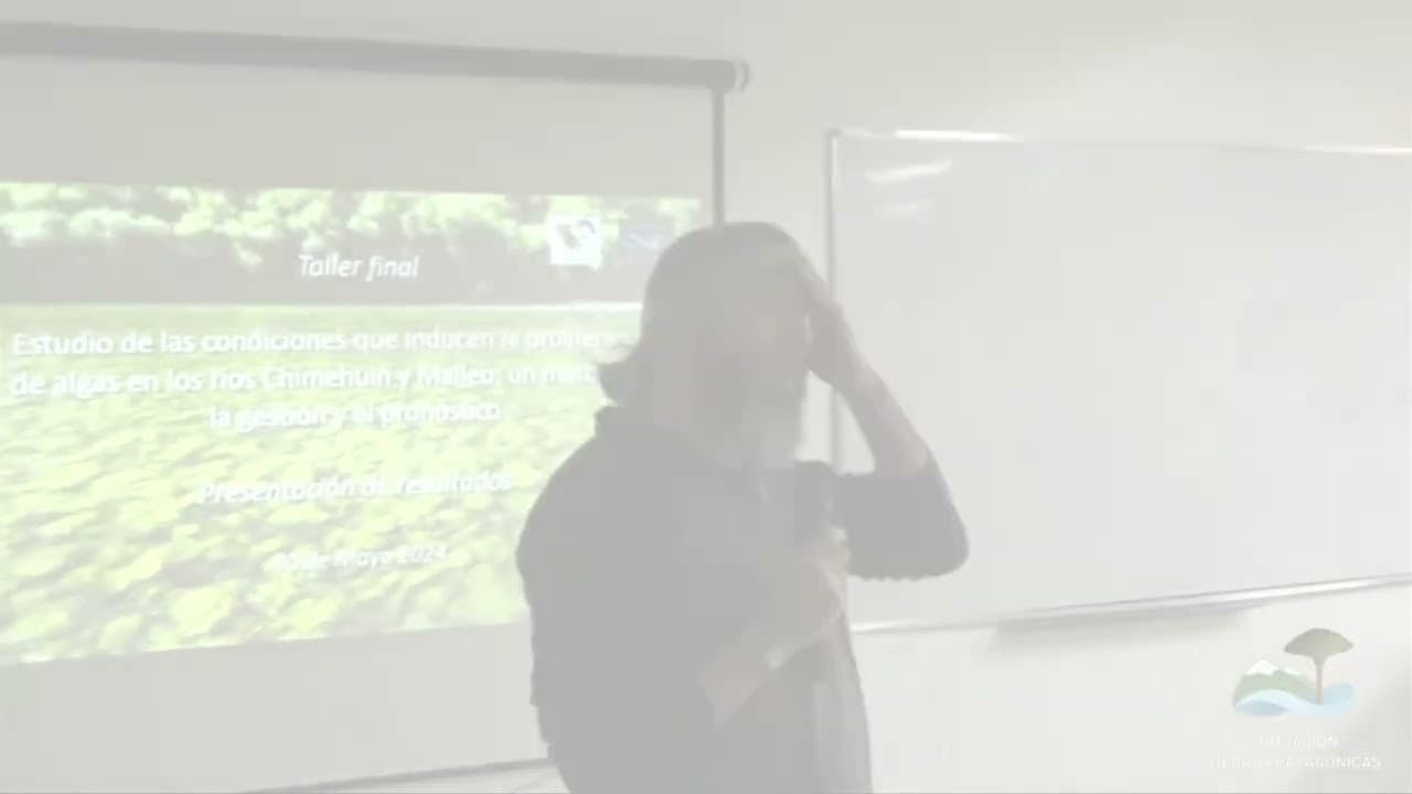 Fragmentos de algunos streaming realizados